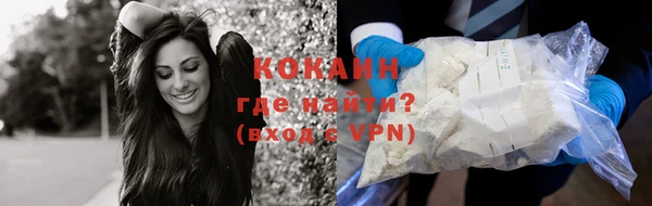 прущие грибы Пестово
