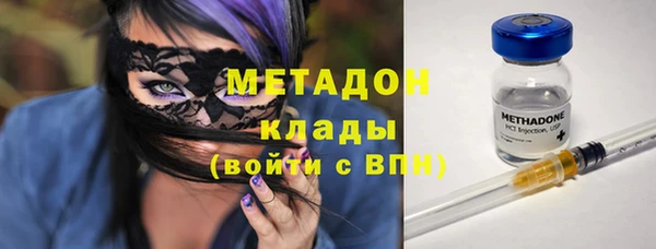 прущие грибы Пестово