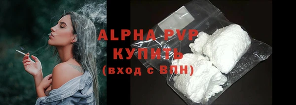 прущие грибы Пестово