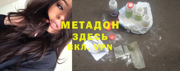 прущие грибы Пестово