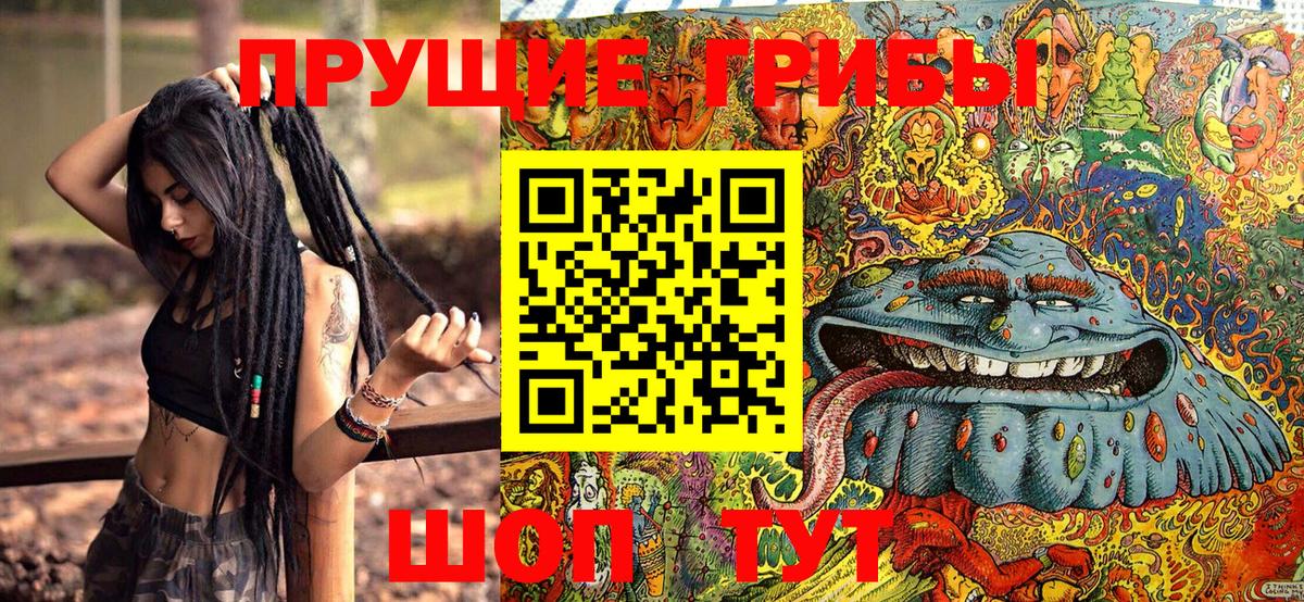 Тейково  Псилоцибиновые грибы ЛСД  Вход с VPN 